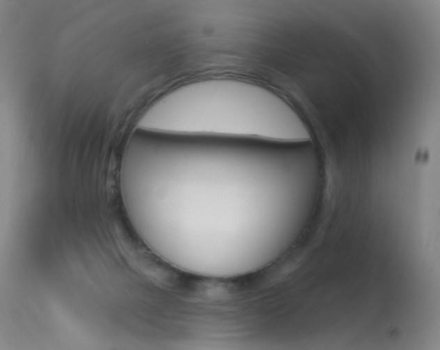 X0000113610073200909181102