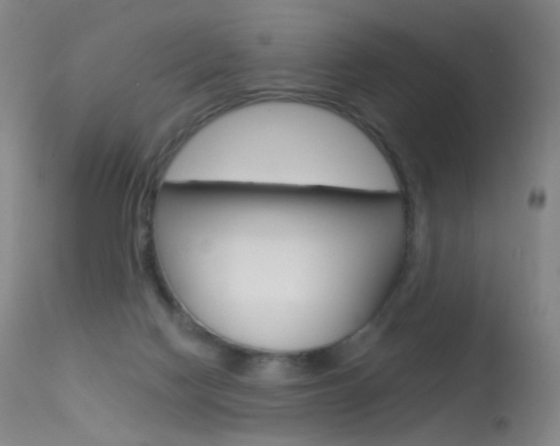 X0000113610074200909181102