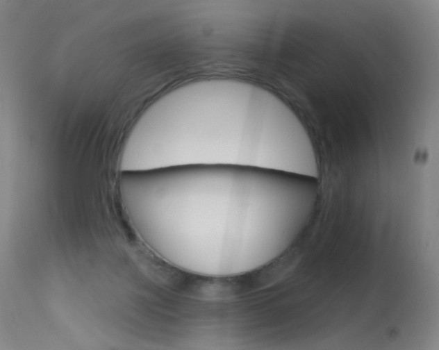 X0000113610075200909181102