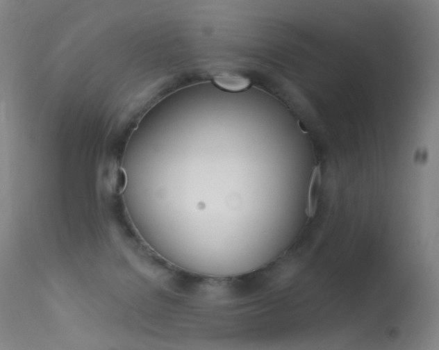 X0000113610076200909181102