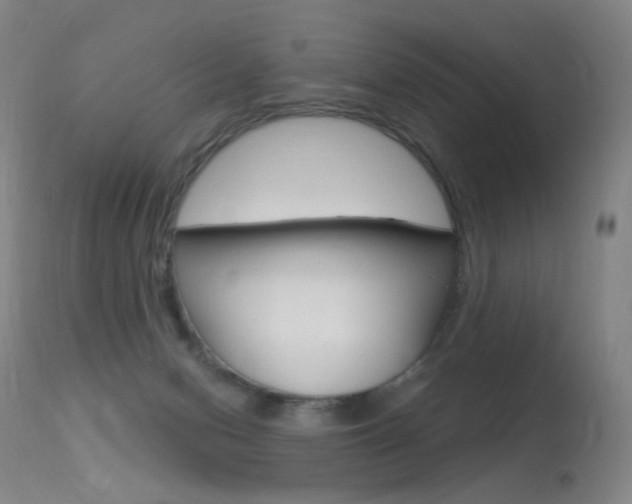 X0000113610078200909181102