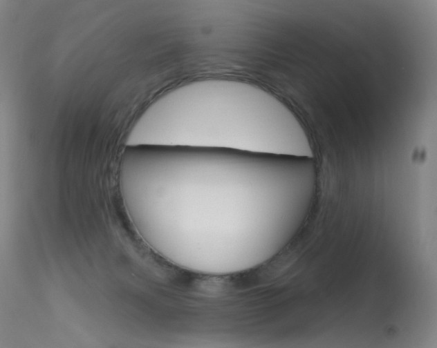 X0000113610079200909181102