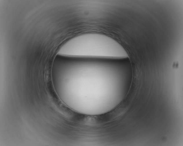 X0000113610080200909181102