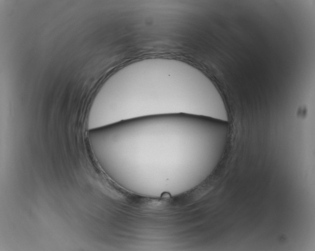 X0000113610081200909181102