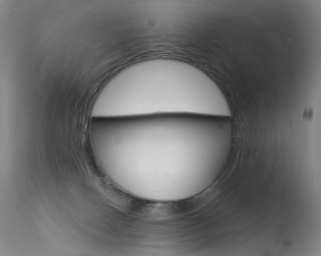 X0000113610082200909181102