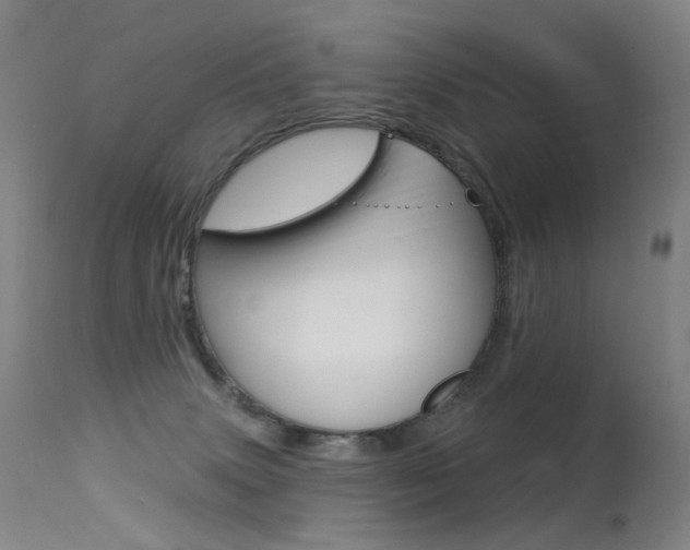 X0000113610083200909181102