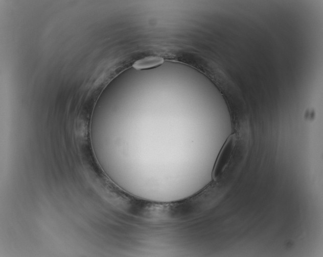 X0000113610084200909181102
