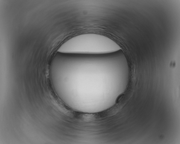 X0000113610085200909181102