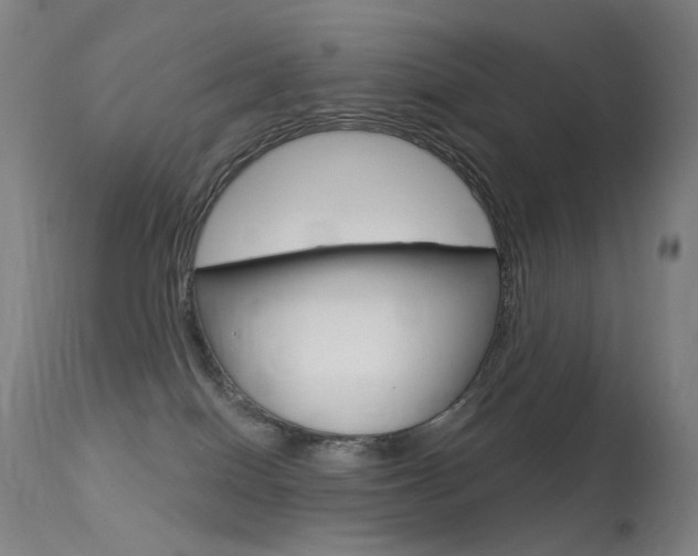 X0000113610086200909181102