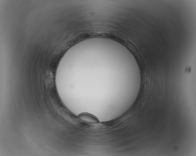 X0000113610087200909181102