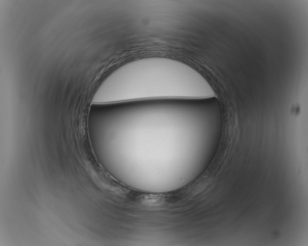 X0000113610088200909181102