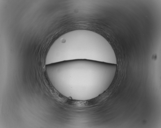 X0000113610089200909181102