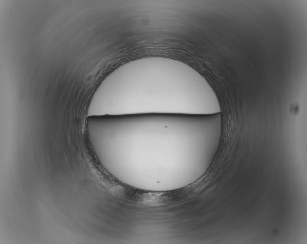 X0000113610090200909181102