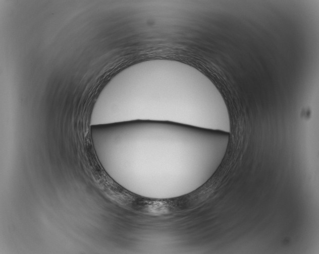 X0000113610091200909181102