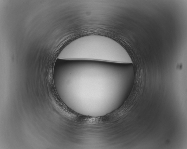 X0000113610092200909181102