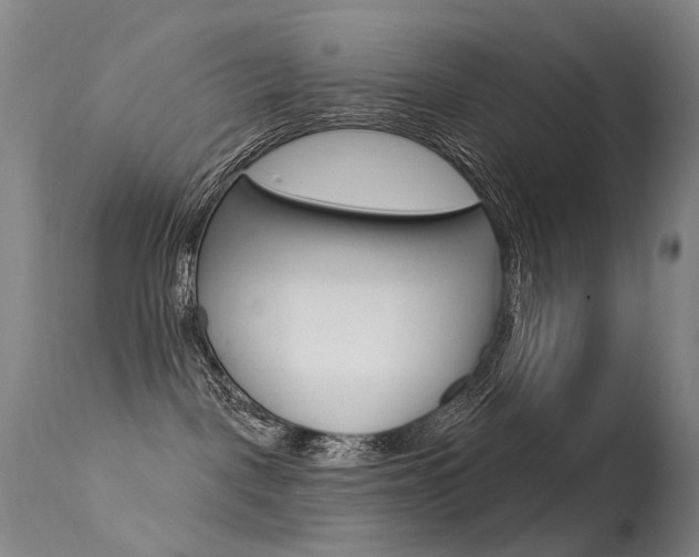 X0000113610093200909181102