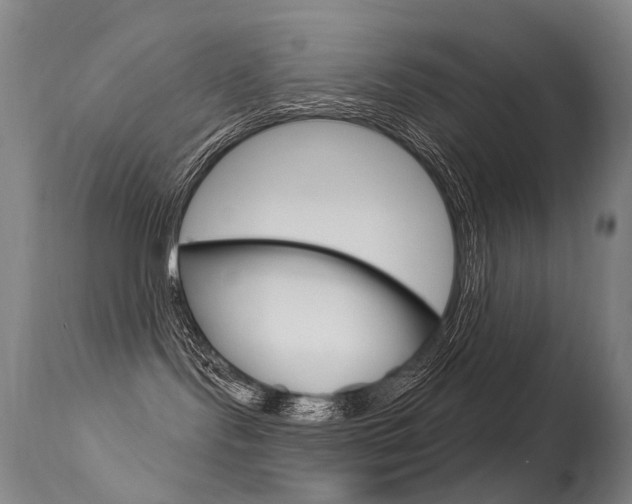 X0000113610095200909181102