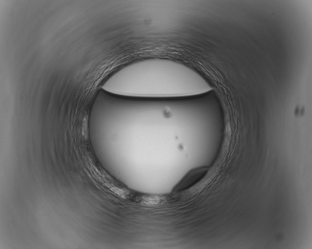 X0000113610096200909181102