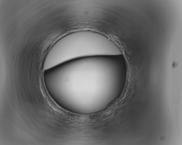 X0000113610097200909181101