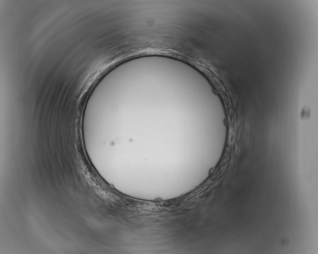 X0000113610098200909181101