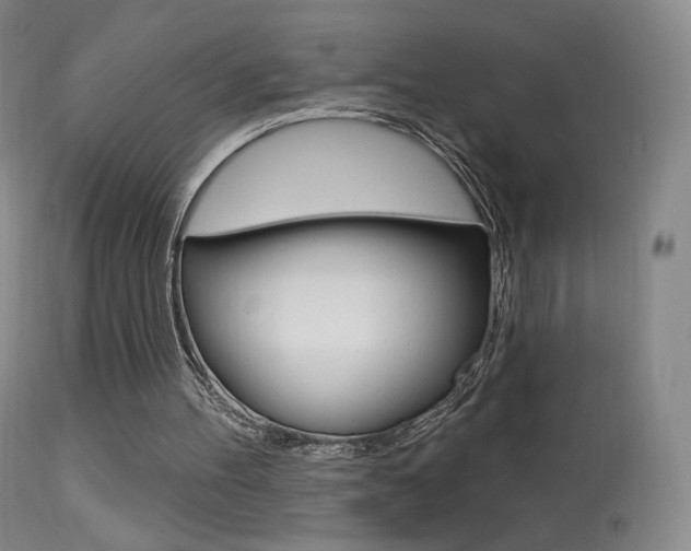 X0000113610100200909181101