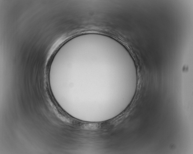 X0000113610102200909181101