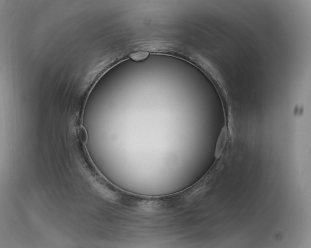 X0000113610105200909181101