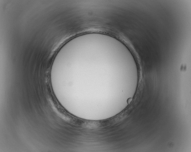 X0000113610106200909181101