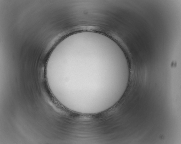X0000113610110200909181101