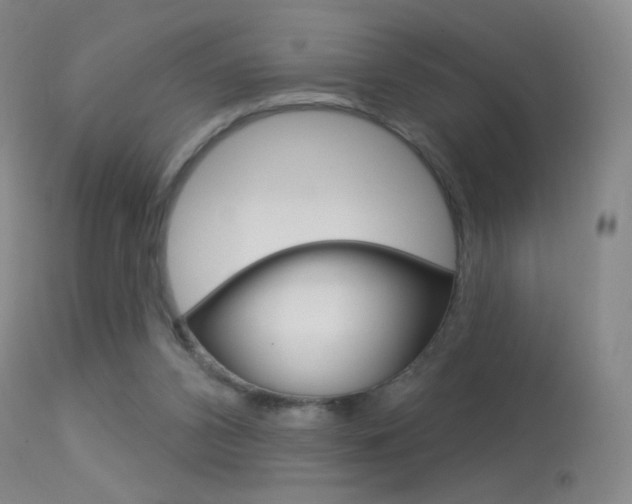 X0000113610112200909181101