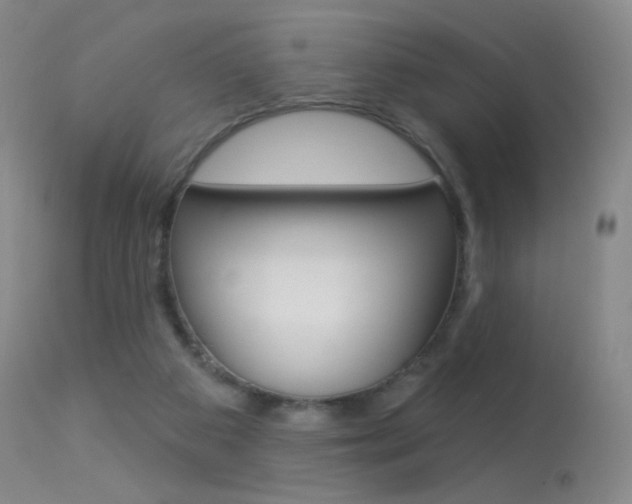 X0000113610113200909181101