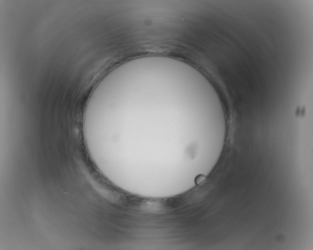 X0000113610114200909181101