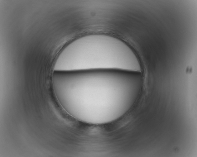 X0000113610115200909181101