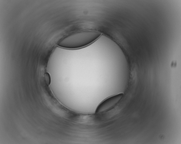 X0000113610117200909181101