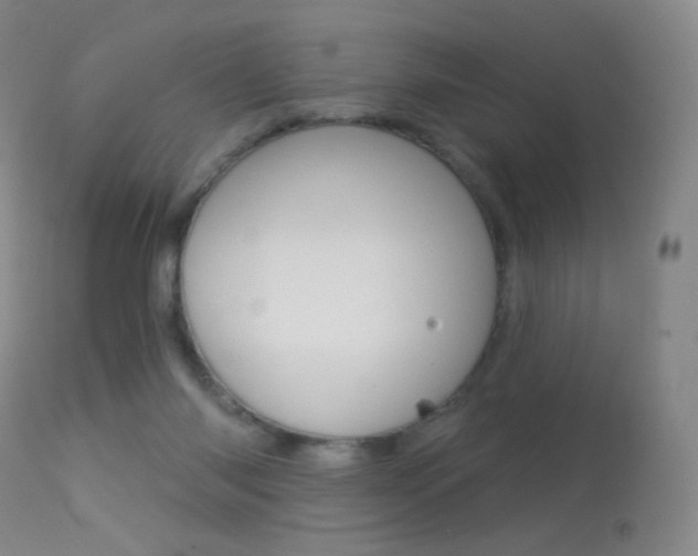 X0000113610118200909181101