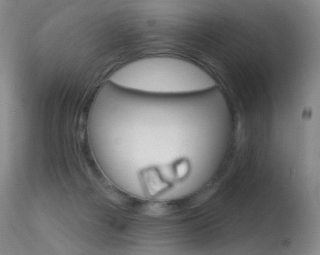 X0000113610121200909181101