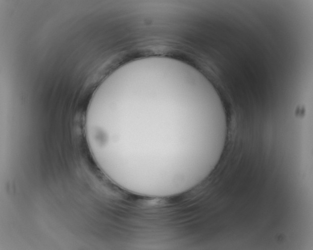 X0000113610122200909181101