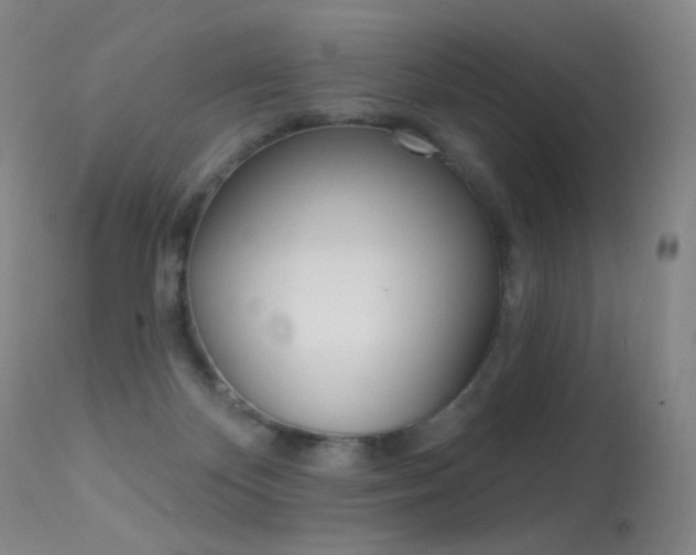 X0000113610124200909181101