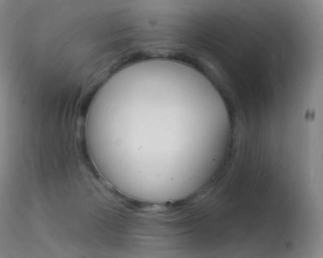 X0000113610125200909181101