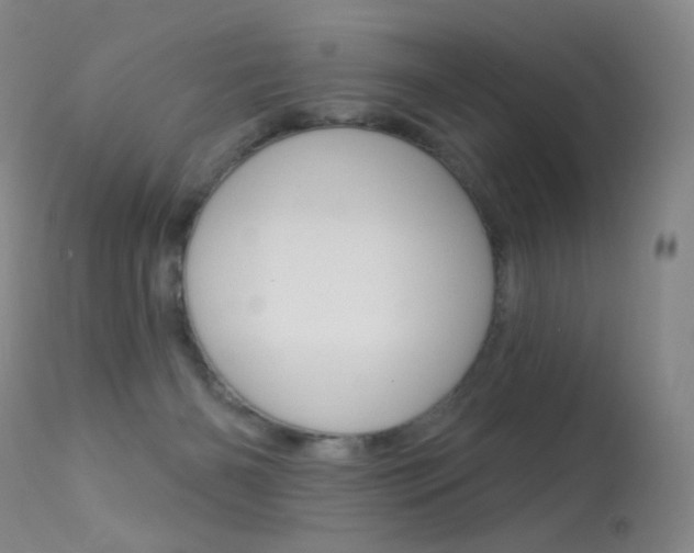 X0000113610126200909181101