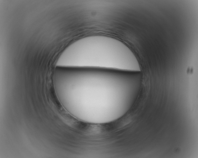 X0000113610127200909181101