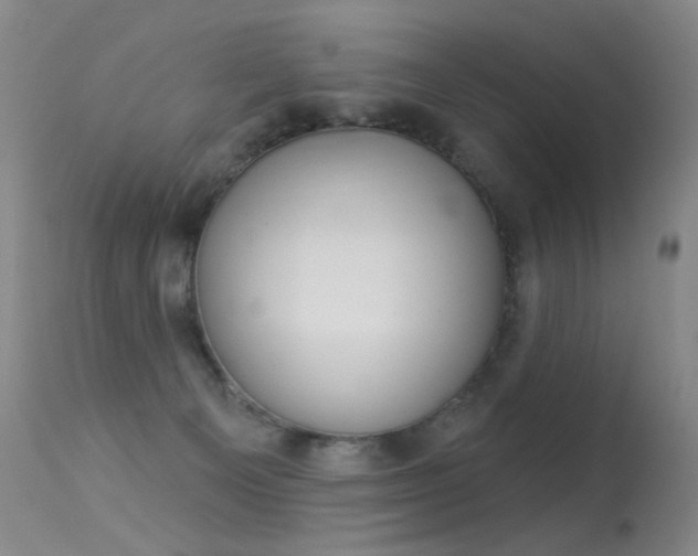 X0000113610129200909181101