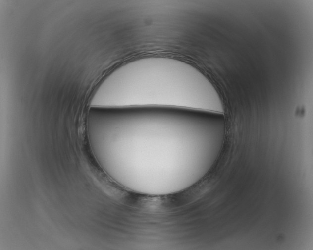 X0000113610131200909181101