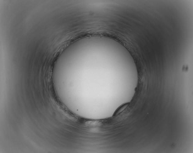 X0000113610133200909181101
