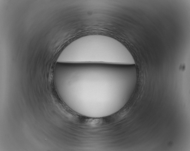 X0000113610135200909181101