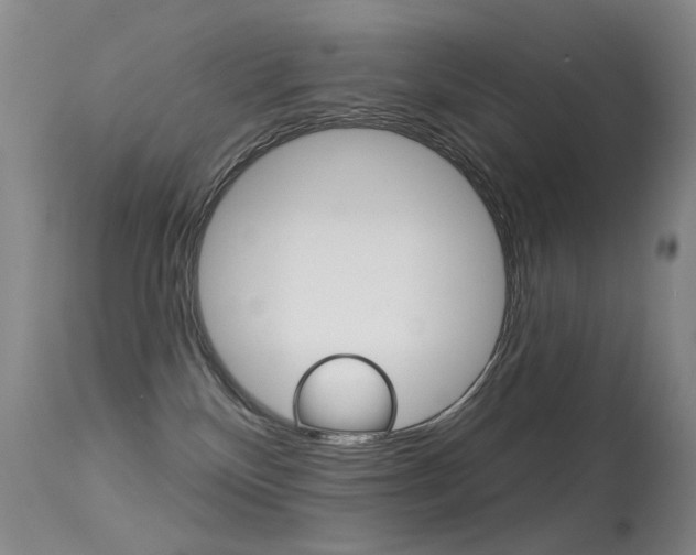 X0000113610136200909181101