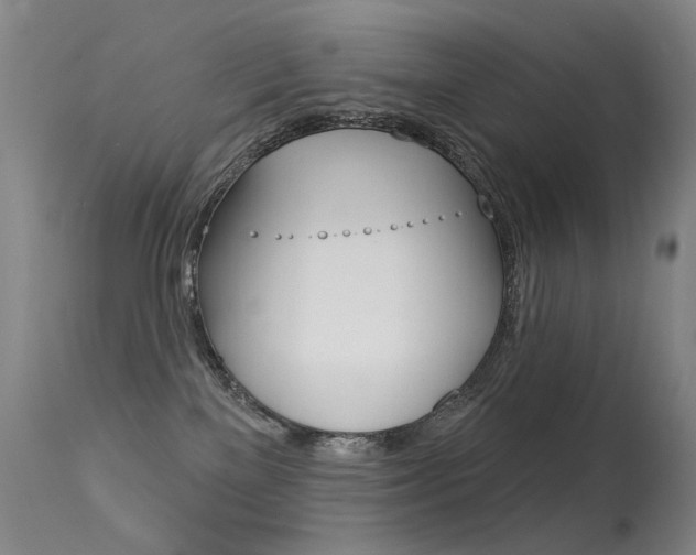 X0000113610137200909181101