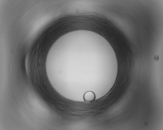 X0000113610140200909181101