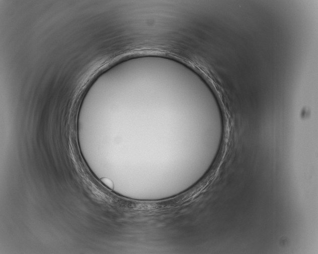 X0000113610145200909181100