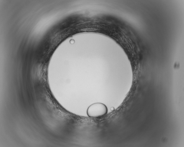 X0000113610146200909181100